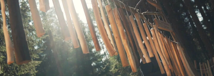 Wood-Harmony-Videoprojekt