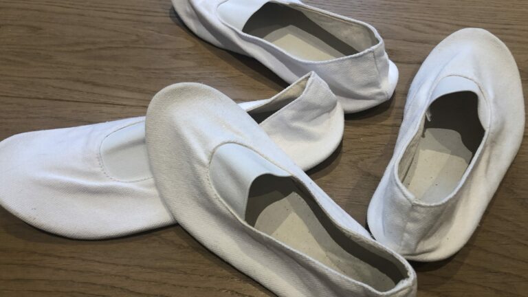 Eurythmie Eurythmieschuhe